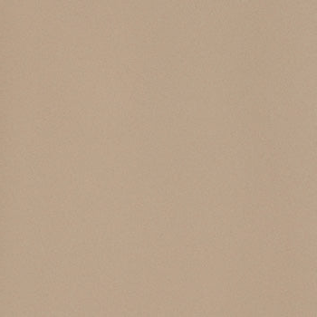 Gres Porcellanato Effetto Cemento Rettificato Naturale 120x120 10,5 mm Beige Icon - Leonardo Ceramica