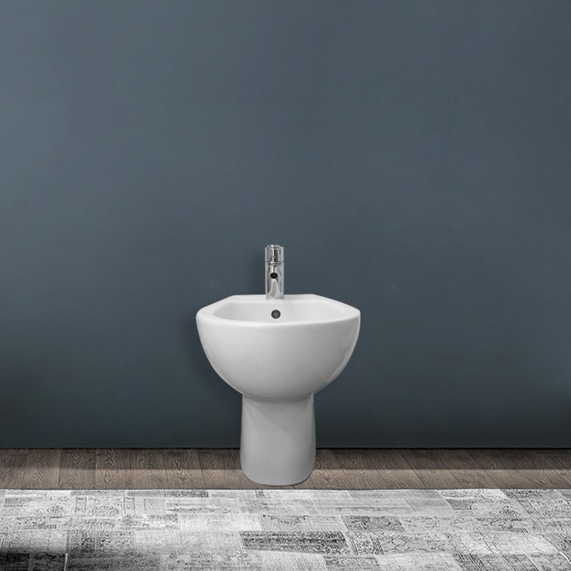 Bidet Tradizionale Colibri Bianco - Geberit (25548958)