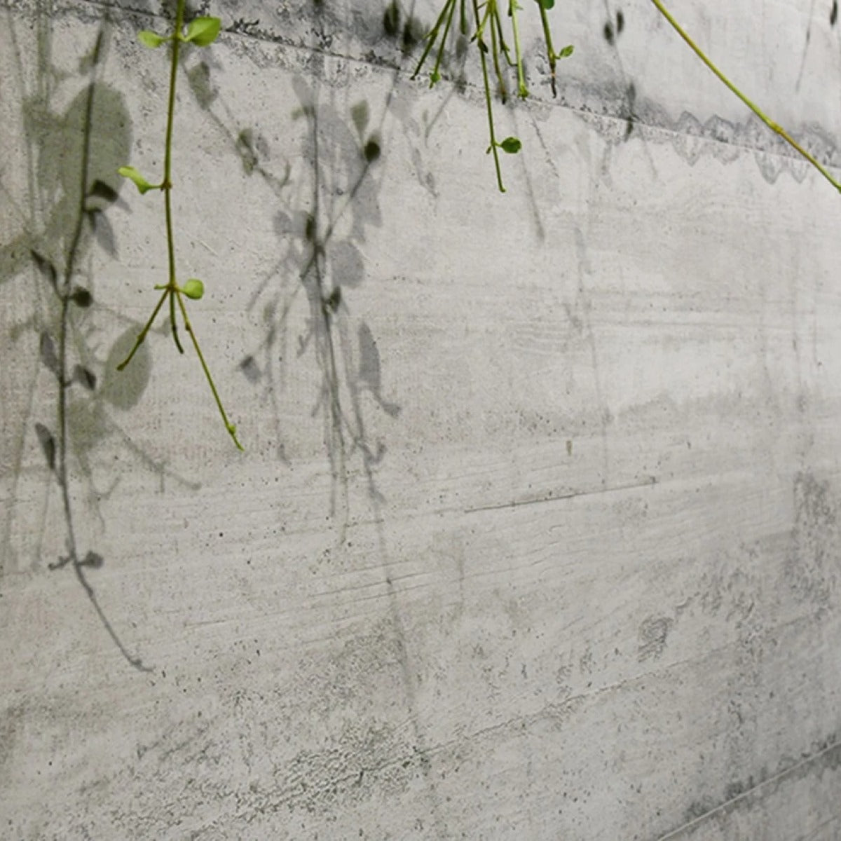 Gres Porcellanato Rettificato Naturale Effetto Cemento 90X90 - Form Cement