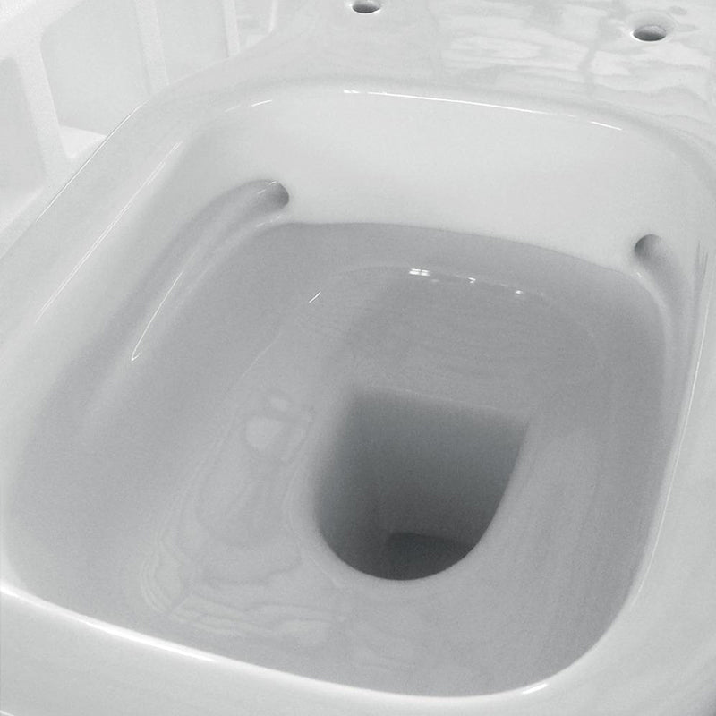 Coppia Sanitari Sospesi Rimless Senza Brida Bianco Lucido F50 Special - Domus Falerii