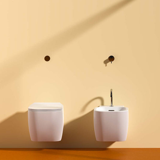 Coppia Sanitari Sospesi Rimless Senza Brida Bianco Lucido F50 Special - Domus Falerii