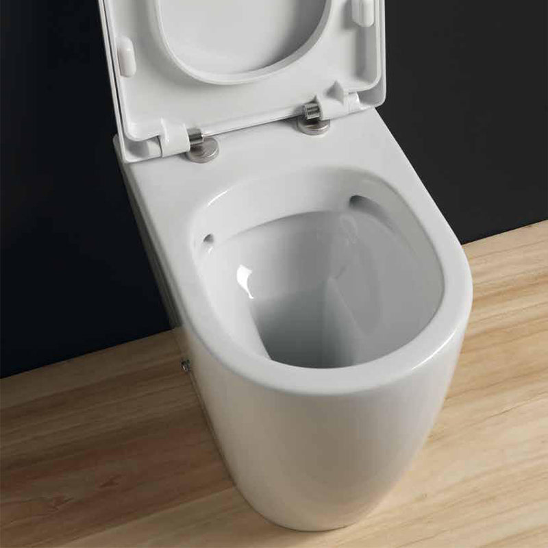 Coppia Sanitari Filomuro Rimless | Senza Brida Foglia Medium - Domus Falerii