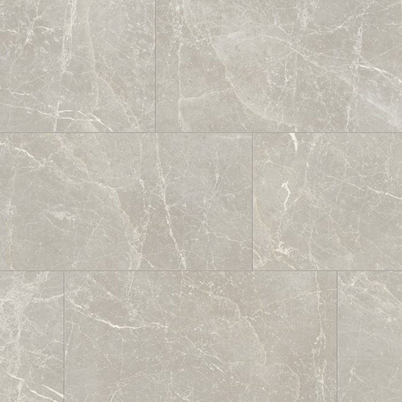 Gres Porcellanato Effetto Marmo Rettificato Naturale 60x120 9mm Silver Exalt - Florim