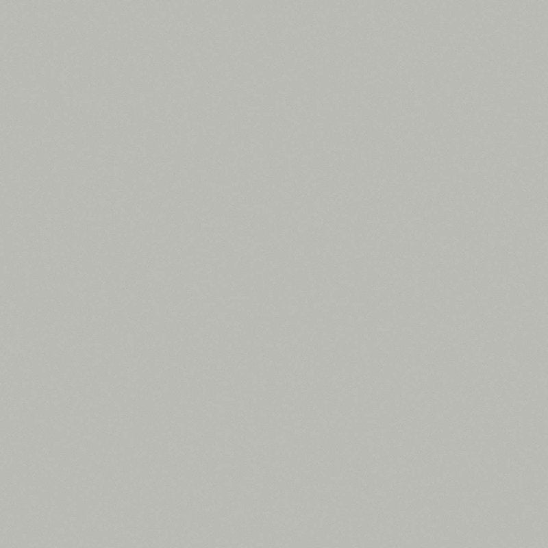 Gres Porcellanato Effetto Tinta unita Rettificato Naturale 60x120 6mm Grigio chiaro Crayons - Florim