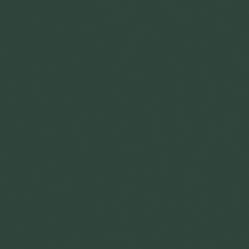 Gres Porcellanato Effetto Tinta unita Rettificato Naturale 60x120 6mm Moss Crayons - Florim