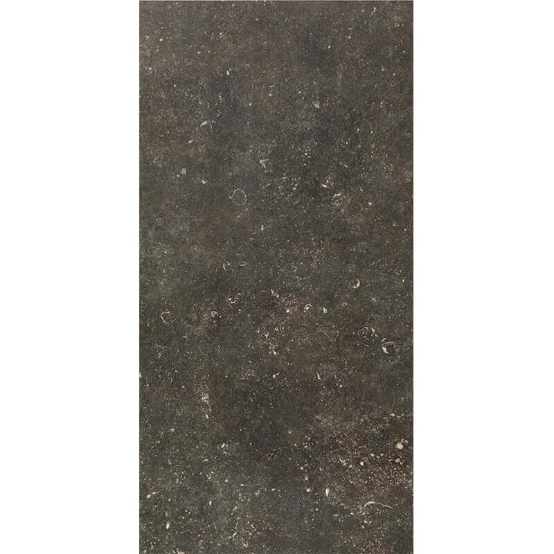 Gres Porcellanato Effetto Pietra Rettificato Smooth 60x120 9mm tile in dark stone finish by D̩sir Atmospheres de Rex - Florim.