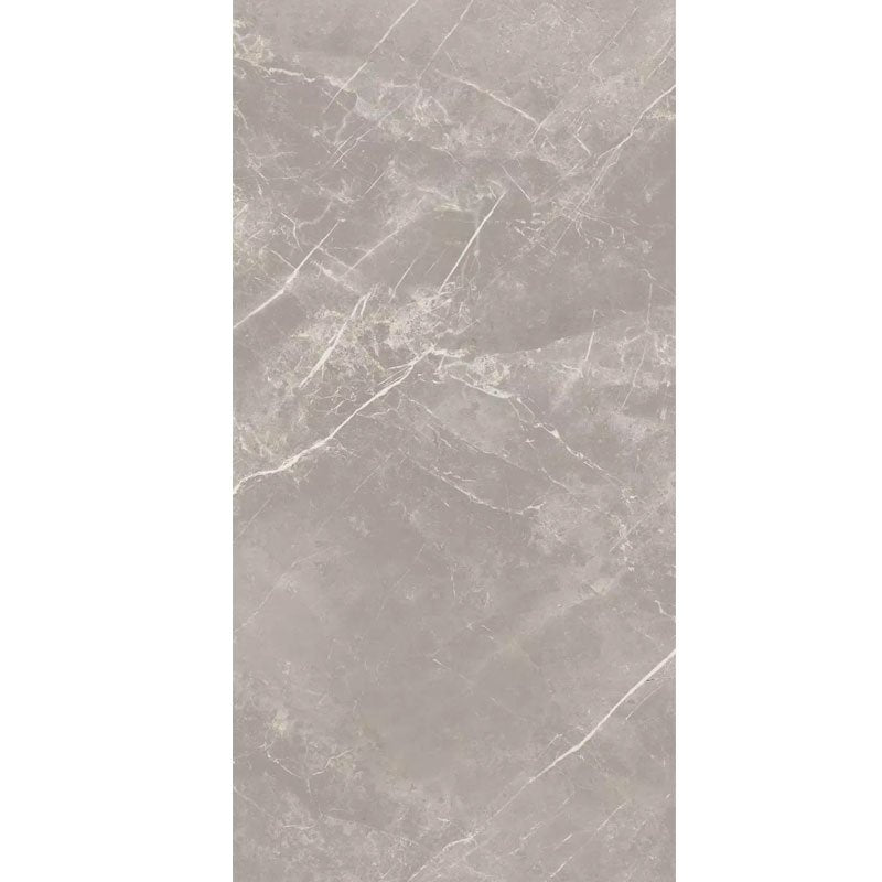 Stone Effect Porcelain Stoneware Rectified Glossy 60x120 9mm Grey Dolomia Elemental Stone - Florim