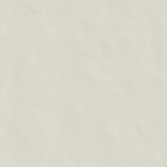 Gres Porcellanato Effetto Resina Rettificato Naturale 80x80 9mm Bianco Neutra 6.0 - Florim