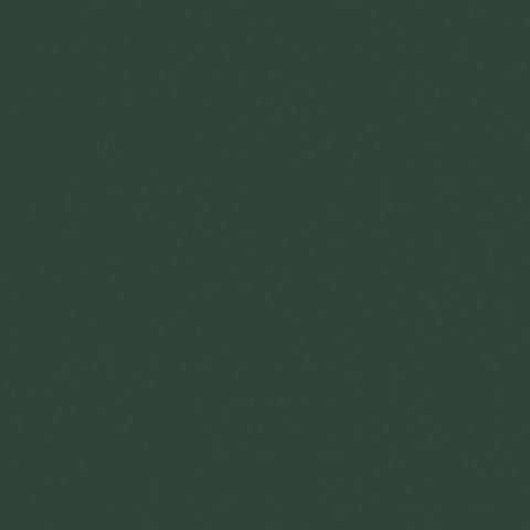Gres Porcellanato Effetto Tinta unita Rettificato Naturale 60x120 6mm Moss Crayons - Florim