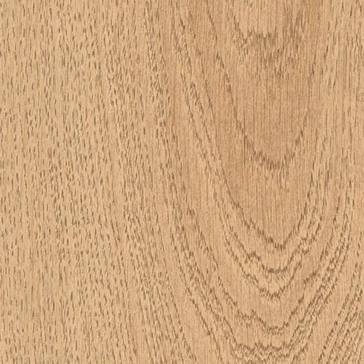 Gres Porcellanato Rettificato Antislip Surface Effetto Legno 20X120 - Gracewood Honey