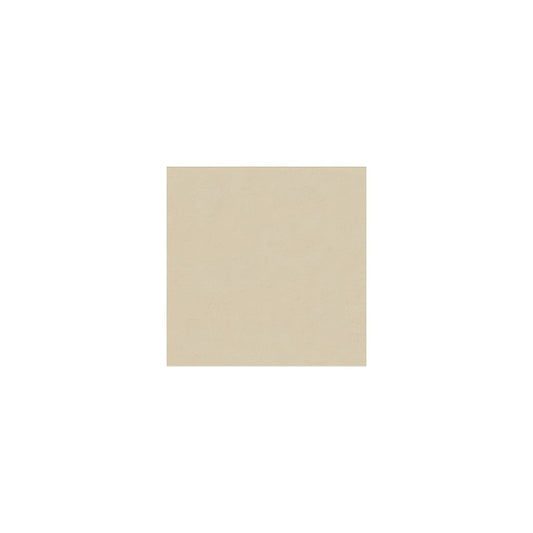 Rivestimento in Ceramica Effetto Cemento Naturale 60x120 Beige Gioia - Gardenia Orchidea